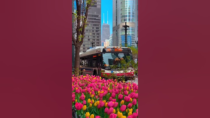 Chicago / Чикаго    #city #newyork #америка #город #китай #ньюйорк #chicago  #чикаго #china