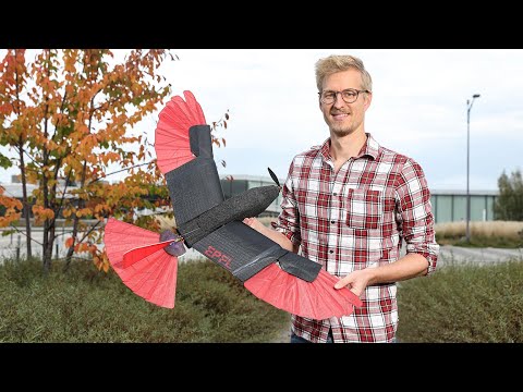 Raptor-inspired drone with morphing wing and tail