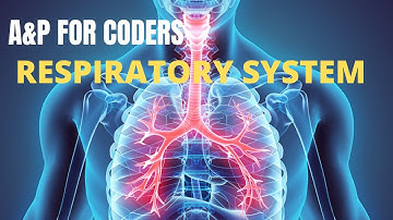 ANATOMY & PHYSIOLOGY FOR CODERS IN 2021 - CHAPTER 03: RESPIRATORY SYSTEM.