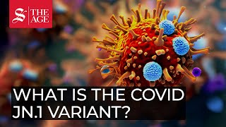 What is the COVID JN.1 variant?