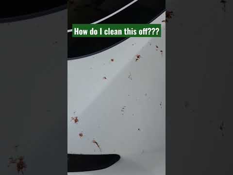 Is Vinegar Safe On Car Paint Reddit