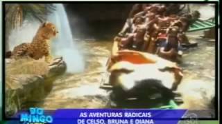 Domingo Legal - Busch Gardens Parte 1