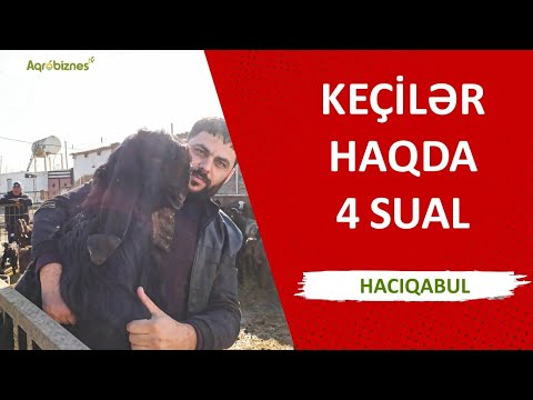 Video: Hələb nə vaxt bombalanıb?