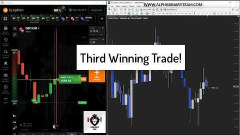 Predator X Indicator Amazing Performance IQ Option Real Tradings