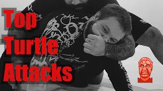 Top Turtle Attacks - Mean Moves w/ Mean Mike