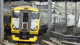 特急新宿わかしお（E257系500番台NB-02編成）両国駅通過