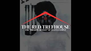 282: The Joanna Lopez Mystery: The Real-Life Disappearance that May Have Been Fiction