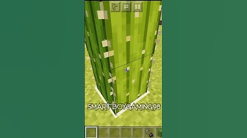 Minecraft Logic... 😂 (PART 5) #shorts #short #shortsfeed #shortvideo #viralshorts #viral #trending