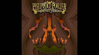 Super Furry Animals - The Undefeated (5.1 Surround Sound)