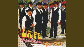 Video thumbnail of "La Fe Norteña de Toño Aranda   - Irresistible"