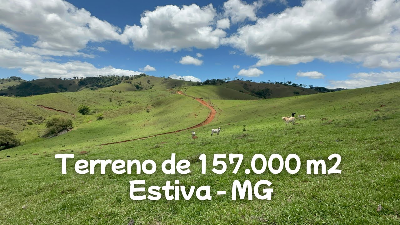 IDEAL para quem deseja CONSTRUIR um Sítio e investir na criação de Gado Leiteiro e Corte.