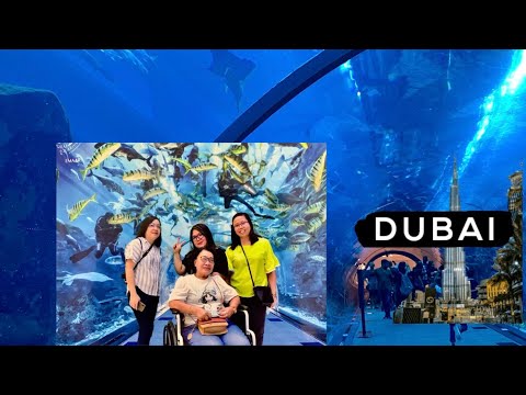 Exploring Dubai Aquarium & Underwater Zoo in Dubai Mall / Burj Khalifa ft Cari Mama Muda