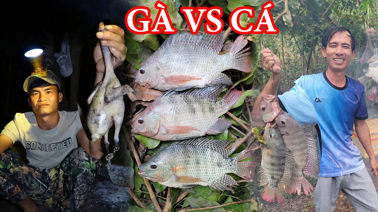 #2 Cắm Câu Cá, Kiếm Mồi Gà Rừng, Ngủ Rừng, Cuộc Sống Trong Rừng