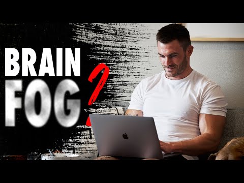 5 Brain Foods That Also Help Your Metabolism | V Shred Better Body, Better Life Podcast
