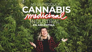 VISITO FÁBRICA DE CANNABIS MEDICINAL EN ARGENTINA | datos, ciencia y mucho porr0