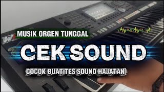 SINGLE ORGAN MUSICAL INSTRUMENT SUITABLE FOR PARTY SOUND TESTING [FULL BASS AUDIO NEW 2026]
