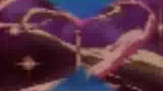 Sailor Rangers Ninja Storm