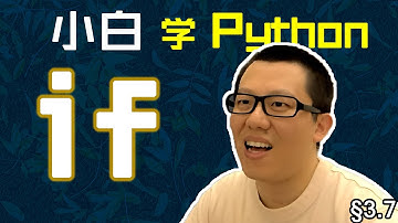 第3.1回 做判断用if语句，分层级靠空白缩进【零基础自学Python编程入门教程】#人人都能学Python #Python #编程