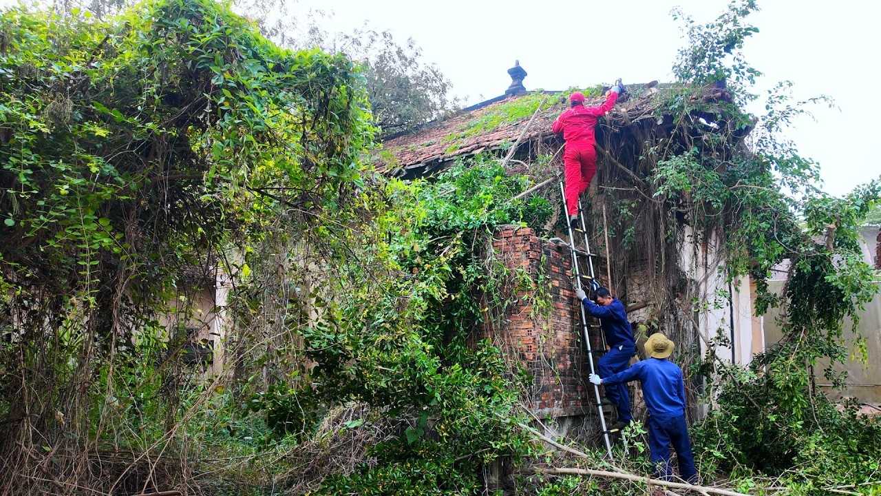 TREES GREW INSIDE THIS 1929 VILLA — Abandoned for 50 Years