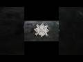 daily muggulu // //simple & easy kolam