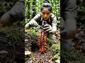 Tiny Camera Mounted on a Centipede | Hidden Underground World #moralstories #microcamera #microworld