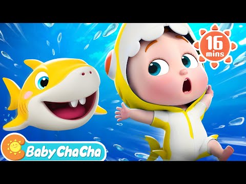 Baby Shark Baby Shark Doo Doo Doo Dance More Baby ChaCha Nursery Rhymes Kids Songs