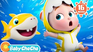 Baby Shark | Baby Shark Doo Doo Doo Dance + More Baby ChaCha Nursery Rhymes &amp; Kids Songs