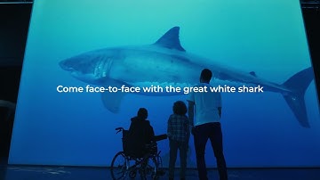 Planet Shark: Predator or Prey at Chester Zoo