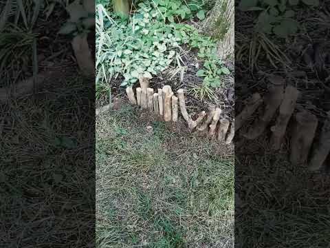 Video: Apakah anjing woodhenge ramah?