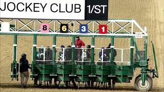 PIMLICO 05 11 2024 RACE 9