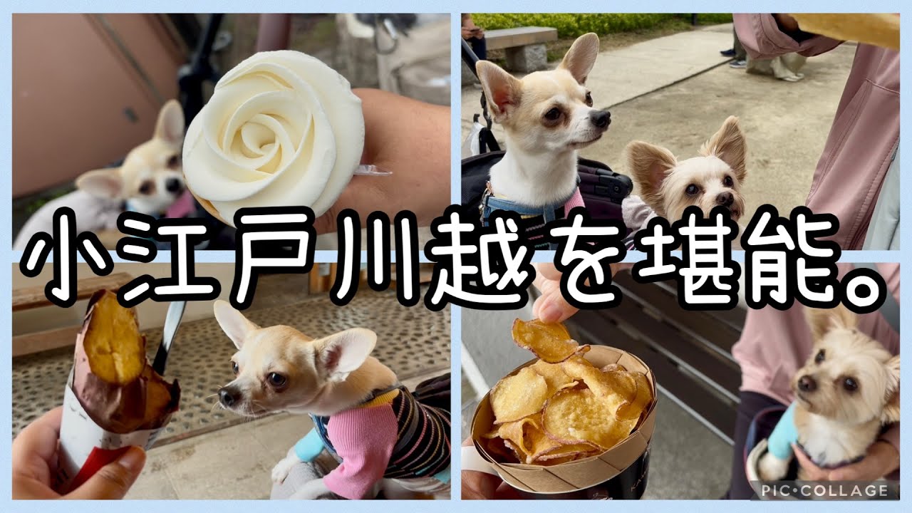 【お出掛け】川越で食べ歩き食い倒れツアーしてきた。