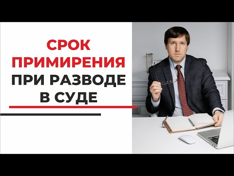 Срок для примирения супругов при разводе в суде. Как и когда назначается? Советы семейного юриста