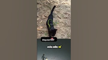 RẮN NGÂM RƯỢU CÓ THỂ SỐNG DẬY?