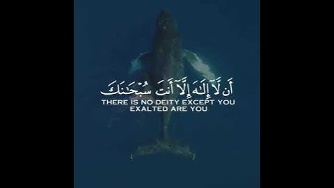 وَذَا النُّونِ إِذ ذَّهَبَ مُغَاضِبًا فَظَنَّ أَن لَّن نَّقْدِرَ عَلَيْهِ القارئ اسلام صبحي