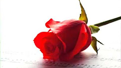 Instrumental music hindi songs mp3 download free