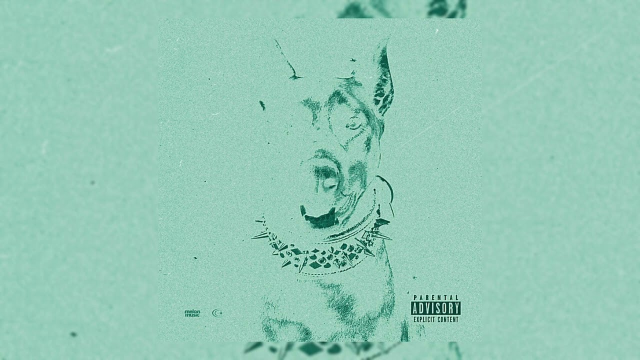 SEEMEE, MAYOT-ГОЛОДНЫЙ ПЁС [linzzo remix]