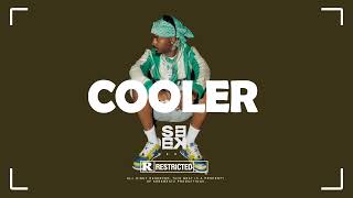 Young Jonn x Seyi Vibez x Ayo Maff AMAPIANO Type Beat 2025 | Afrobeat Type Beat | "COOLER"