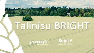 "Future is BRIGHT" -  Scandagra talinisu sordi tutvustus