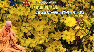 NIKAYA Pháp Đàm - Tất Niên 16/02