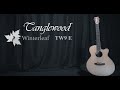 Tanglewood guitars winterleaf tw9 e  official demo