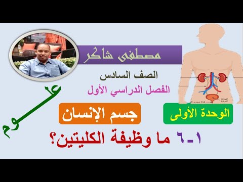 ما وظيفة الكليتين علوم صف سادس منهج كامبردج الفصل الدراسي الأول سلطنة عمان