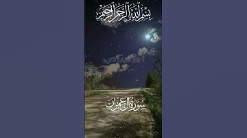 سورة ال عمران المقرئ محمد الفقيه