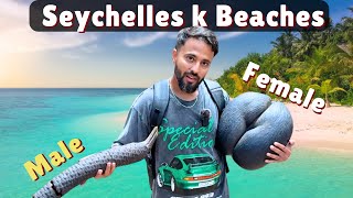 Seychelles Beaches, Food & Coco De Mer | Honeymoon Destination