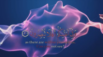 وفي أنفسكم افلا تبصرون _ تلاوة هادئة _ اسلام صبحي