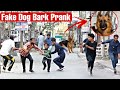 Fake dog bark prank thatwascrazy