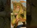 Jurassic World Evolution 3 | Lokiceratops | Dinosaur Showcase