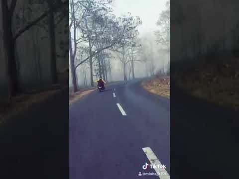 New Traveling WhatsApp Status Video Malayalam Guppy Song