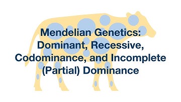 Mendelian Genetics: Dominant, Recessive, Codominance, and Incomplete Dominance Explained
