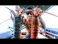 CATCHING OUR OWN SEAFOOD FOR CHRISTMAS Family Feast In The Boat - Ep 153