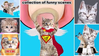 Asmr Komik Kedi Ve Köpek Animasyonlarından Oluşan Şifa Dükkanı Video Koleksiyonu Asmr